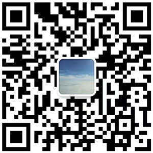 山東盛鑫偉業(yè)鋼鐵有限公司